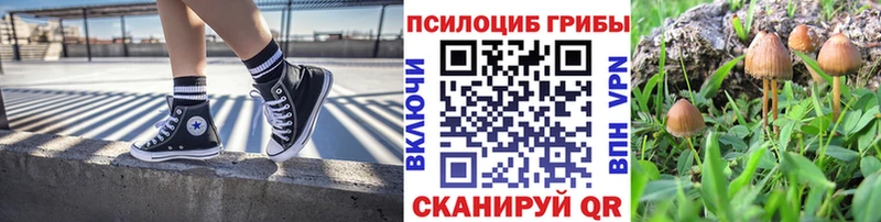 Псилоцибиновые грибы GOLDEN TEACHER  Кущёвская 